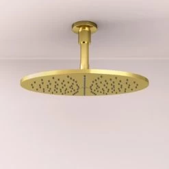 Ideal Standard Kopfbrauseanschluss Idealrain Atelier Gold -Duschwelt Verkauf 887860 3049 2